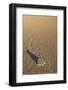 Death Valley's Moving Rocks-Corepics-Framed Photographic Print