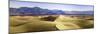 Death Valley Sand Dunes at Mesquite Flats.-Janet Muir-Mounted Photographic Print