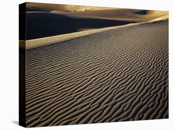 Death Valley Sand Dunes-James Randklev-Stretched Canvas