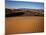 Death Valley Sand Dunes-James Randklev-Mounted Photographic Print