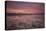 Death Valley Sunset-April Xie-Stretched Canvas