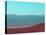 Death Valley View-NaxArt-Stretched Canvas