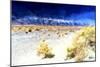 Death Valley-Philippe Hugonnard-Mounted Giclee Print