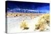 Death Valley-Philippe Hugonnard-Stretched Canvas