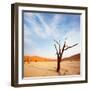 Death Valley-Galyna Andrushko-Framed Photographic Print