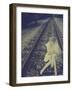 Death Wish-Winter Wolf Studios-Framed Photographic Print