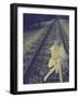 Death Wish-Winter Wolf Studios-Framed Photographic Print