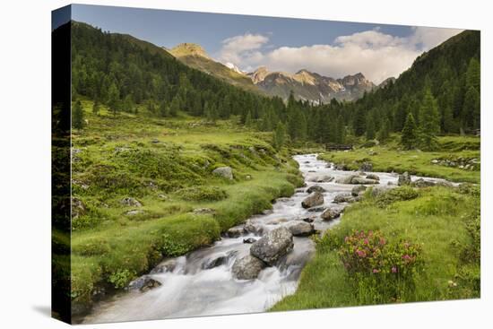 Debantbach, Debanttal, National Park Hohe Tauern, Tyrol, Austria-Rainer Mirau-Stretched Canvas