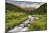 Debantbach, Debanttal, National Park Hohe Tauern, Tyrol, Austria-Rainer Mirau-Mounted Photographic Print