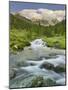 Debantbach, Debanttal, National Park Hohe Tauern, Tyrol, Austria-Rainer Mirau-Mounted Photographic Print