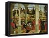 Debate of St. Stephen-Vittore Carpaccio-Framed Stretched Canvas