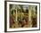 Debate of St. Stephen-Vittore Carpaccio-Framed Giclee Print