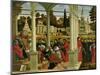 Debate of St. Stephen-Vittore Carpaccio-Mounted Giclee Print