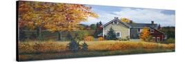 Stretched Canvas