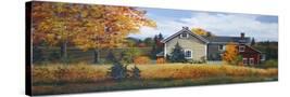 Stretched Canvas
