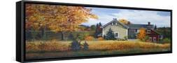 Framed Canvas