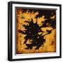 Black Frame