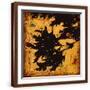 Brown Frame