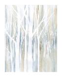 Mystical Woods II-Debbie Banks-Stretched Canvas