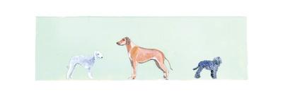 Playful Pups II-Debbie Nicholas-Photographic Print