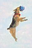 Man's Best Friend I-Debbie Nicholas-Photographic Print