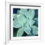 Gramercy White