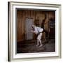 Debbie Reynolds Lifts Fellow Actor Tony Randall in a Scene from 'The Mating Game', 1959-Allan Grant-Framed Photographic Print