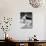 Debbie Reynolds Poolside, 1954-null-Mounted Photo displayed on a wall