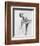 Debbie Reynolds-null-Framed Photo