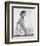 Debbie Reynolds-null-Framed Photo