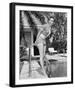 Debbie Reynolds-null-Framed Photo