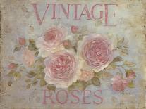 Vintage Rose-Debi Coules-Mounted Art Print