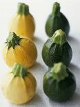 Small, Round, Yellow and Green Courgettes-Debi Treloar-Photographic Print