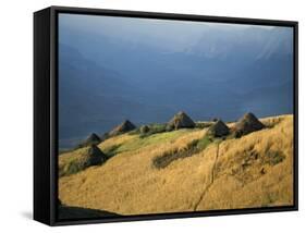 Debirichwa Village in Early Morning, Simien Mountains National Park, Ethiopia-David Poole-Framed Stretched Canvas