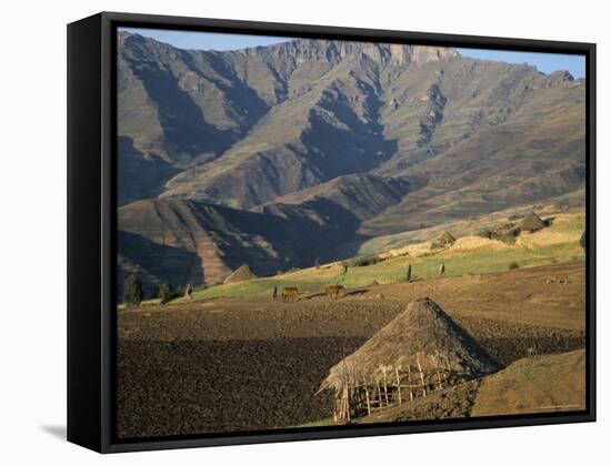 Debirichwa Village in Early Morning, Simien Mountains National Park, Ethiopia-David Poole-Framed Stretched Canvas
