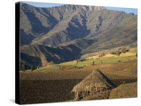 Debirichwa Village in Early Morning, Simien Mountains National Park, Ethiopia-David Poole-Stretched Canvas