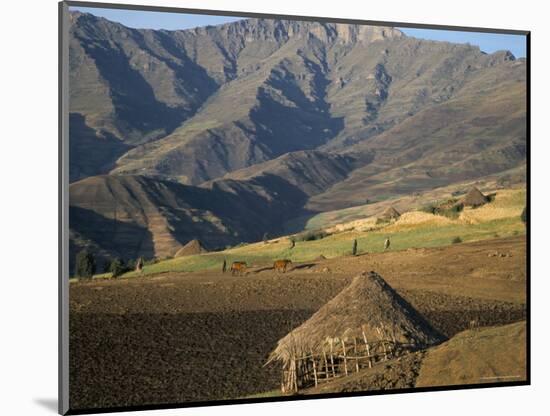 Debirichwa Village in Early Morning, Simien Mountains National Park, Ethiopia-David Poole-Mounted Photographic Print