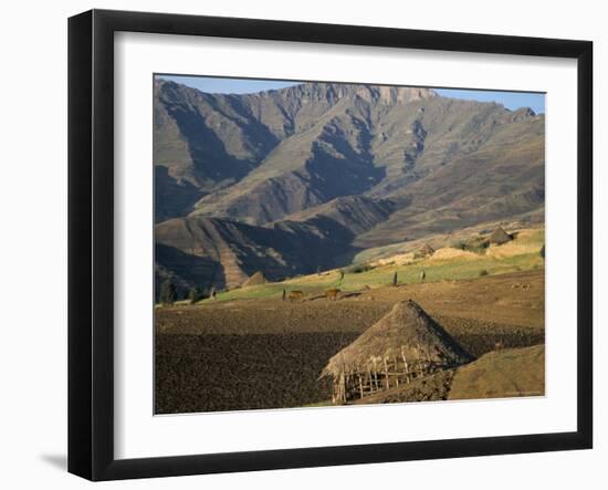 Debirichwa Village in Early Morning, Simien Mountains National Park, Ethiopia-David Poole-Framed Photographic Print