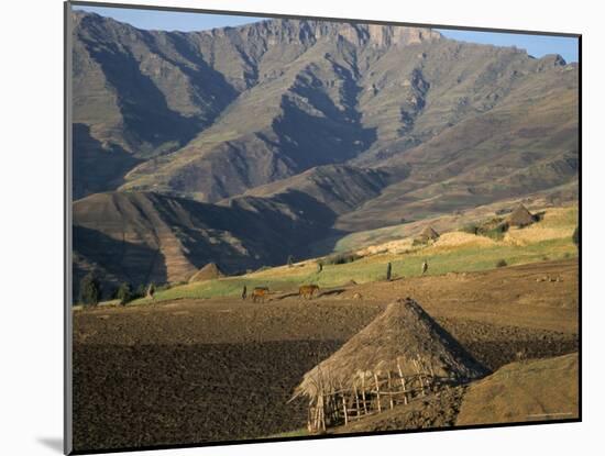 Debirichwa Village in Early Morning, Simien Mountains National Park, Ethiopia-David Poole-Mounted Photographic Print