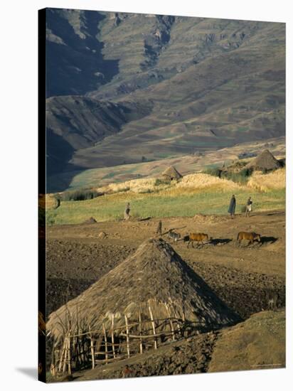 Debirichwa Village in Early Morning, Simien Mountains National Park, Ethiopia-David Poole-Stretched Canvas