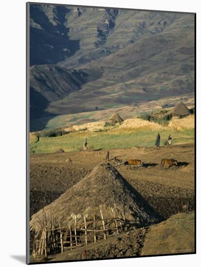 Debirichwa Village in Early Morning, Simien Mountains National Park, Ethiopia-David Poole-Mounted Photographic Print