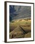 Debirichwa Village in Early Morning, Simien Mountains National Park, Ethiopia-David Poole-Framed Photographic Print