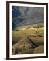 Debirichwa Village in Early Morning, Simien Mountains National Park, Ethiopia-David Poole-Framed Photographic Print