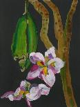 Lanarth Magnolia-Deborah Barton-Stretched Canvas