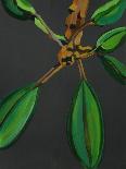Frangipani Flower, Bequia, 2008-Deborah Barton-Giclee Print