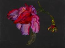 Anthurium, Heart Flower, 2008-Deborah Barton-Giclee Print