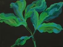 Paeonia 3-Deborah Barton-Giclee Print