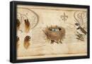 Essential Black