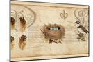Wood Mount