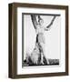 Deborah Kerr-null-Framed Photo